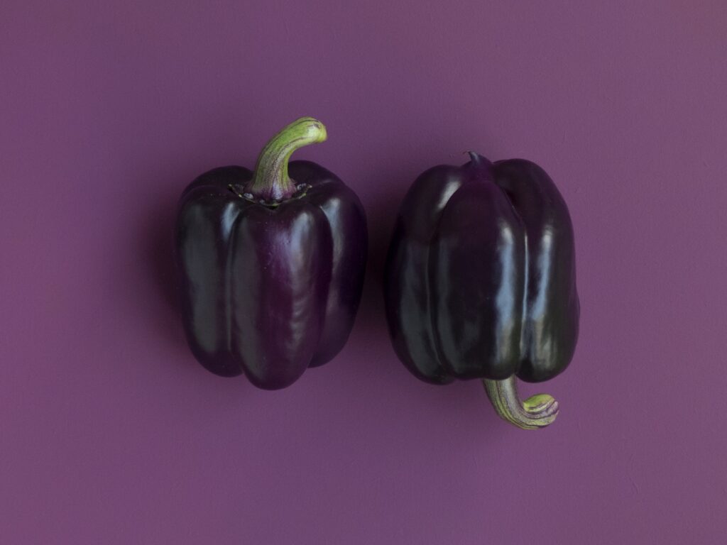 foodism360-397390-unsplash.jpg