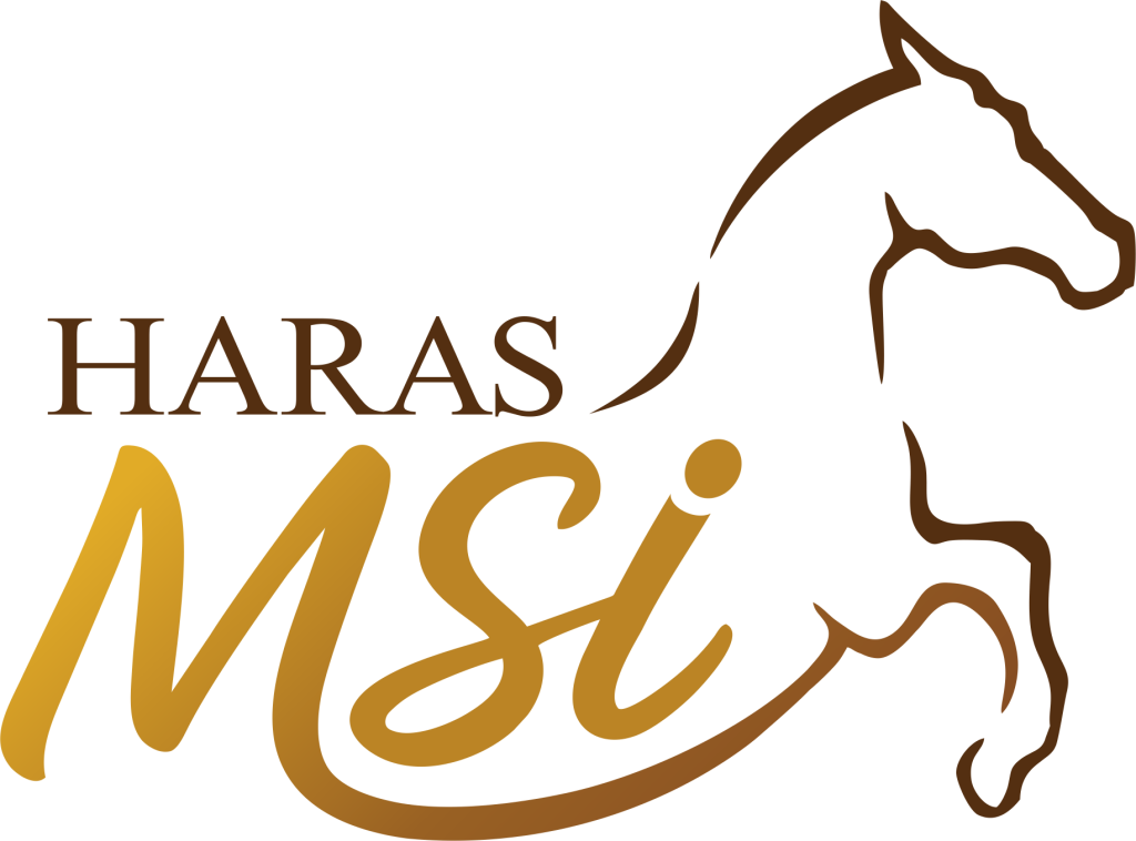 HARAS_MSI